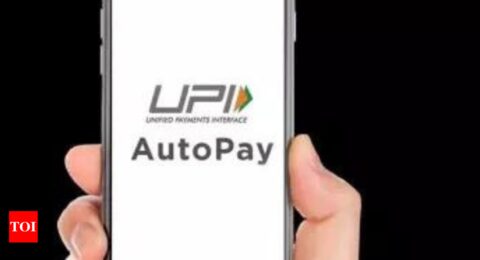 UPI duopoly revives fee debate