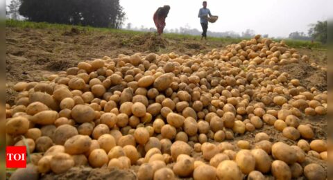 HyFun Foods to invest Rs 850 crore for three potato processing plants in Gujarat