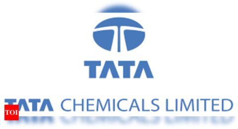 Tata Chemicals shares drop 10% amidst Tata Sons IPO uncertainty | India Business News
