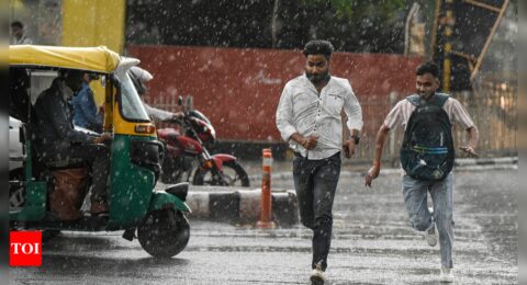 India likely to see ‘above normal’ monsoon this year, says IMD | India News